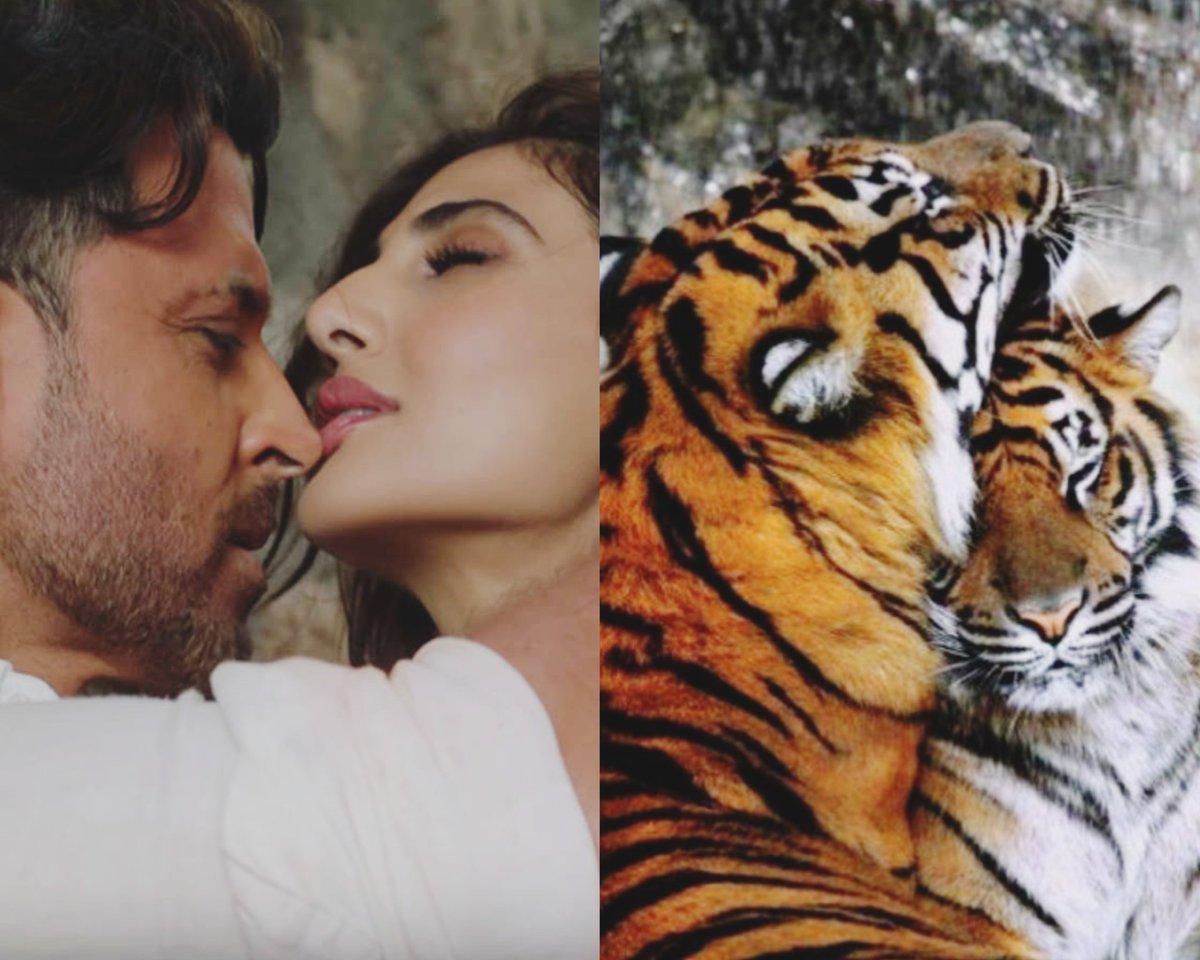 5. Romance? Intense, wild, passionate, raw Makes their partners want more of them 