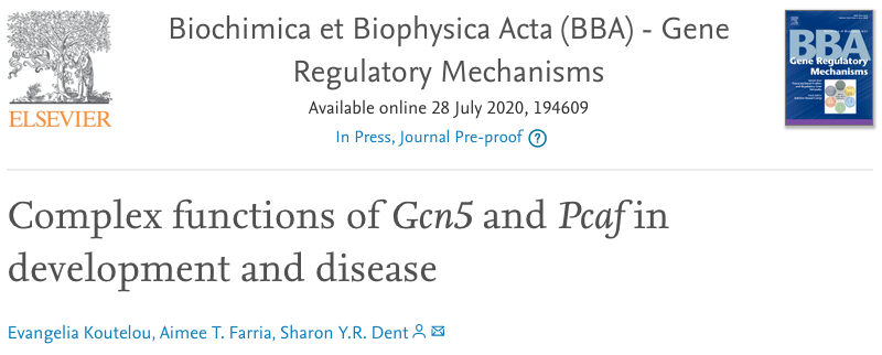 Dr. Evangelia (Lia) Koutelou tweet media