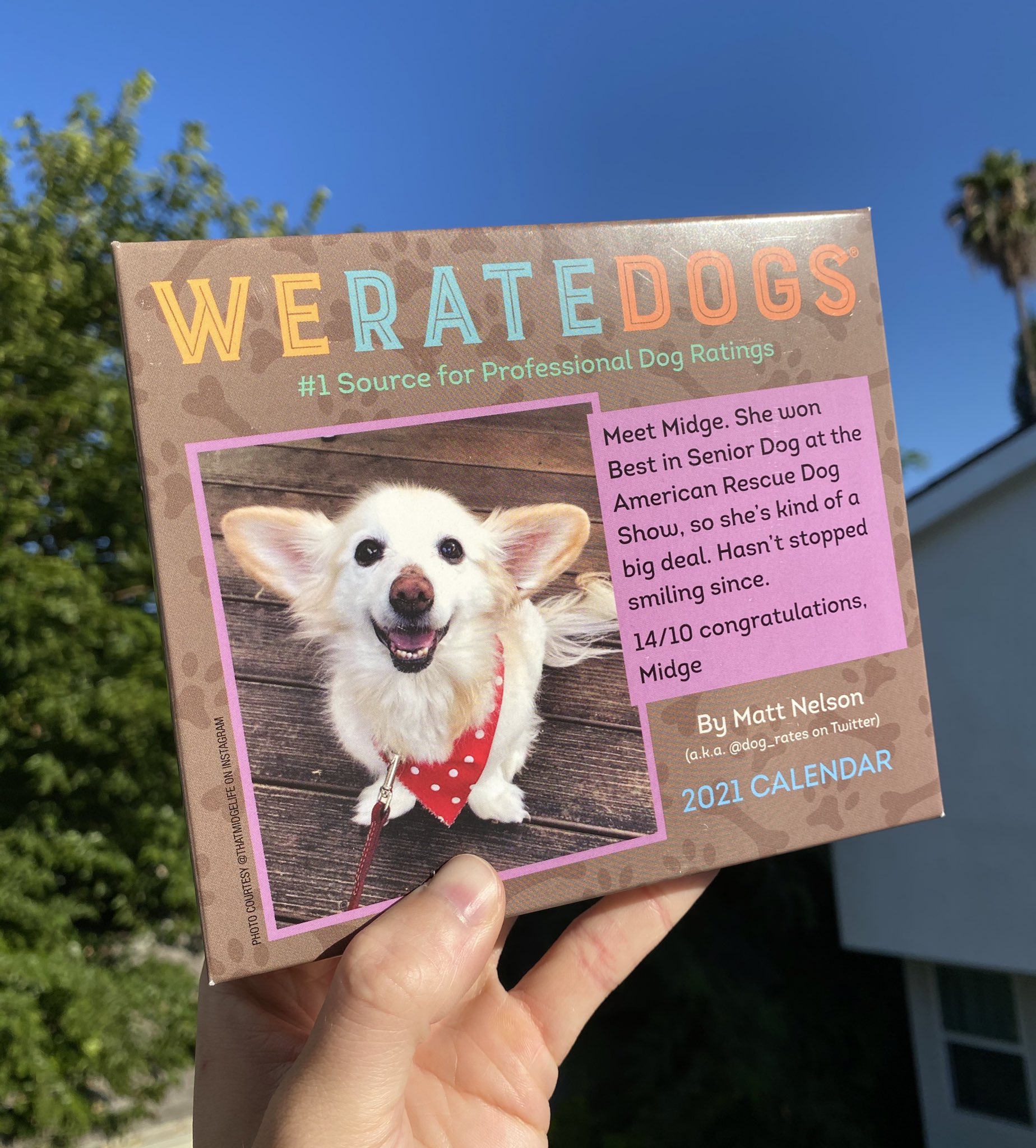 Weratedogs calendar on sale