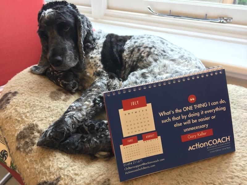 Helen Pethybridge | ActionCOACH tweet media