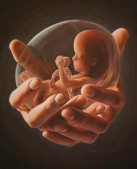 web_pastor's tweet photo. Si una mujer tuviera el vientre de cristal y pudiera ver el milagro que hay en ella jamás pensaría en asesinar a su hijo en su seno... Y esto es lo que a toda costa evitan los abortistas: que la mujer vea lo que hay en ella #CorteAbortoNo #MexicoEsProvida #NoAlAborto https://t.co/6oNHl2xIky
