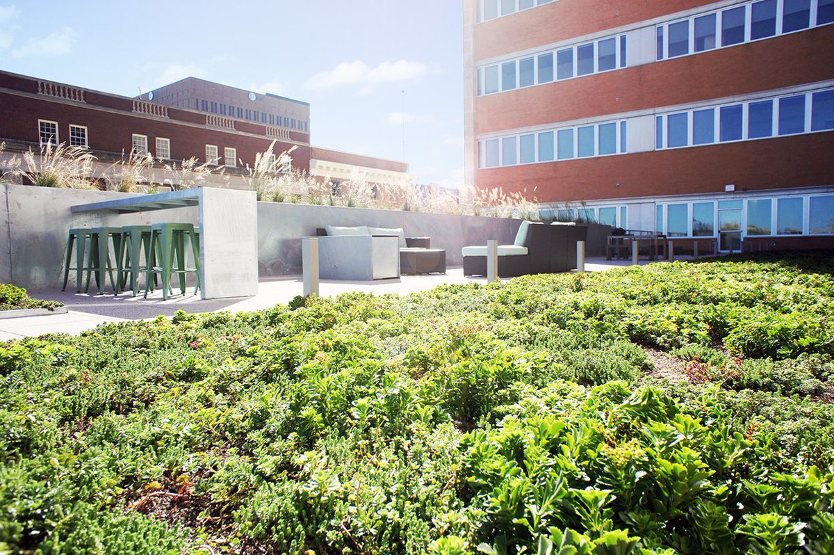 Our third floor #patio features the first green roof in Wichita! We’re all about #sustainability at The LUX, and it’s just another way we’re going green. Learn more: bit.ly/30ZlAdn #TheLUXLiving