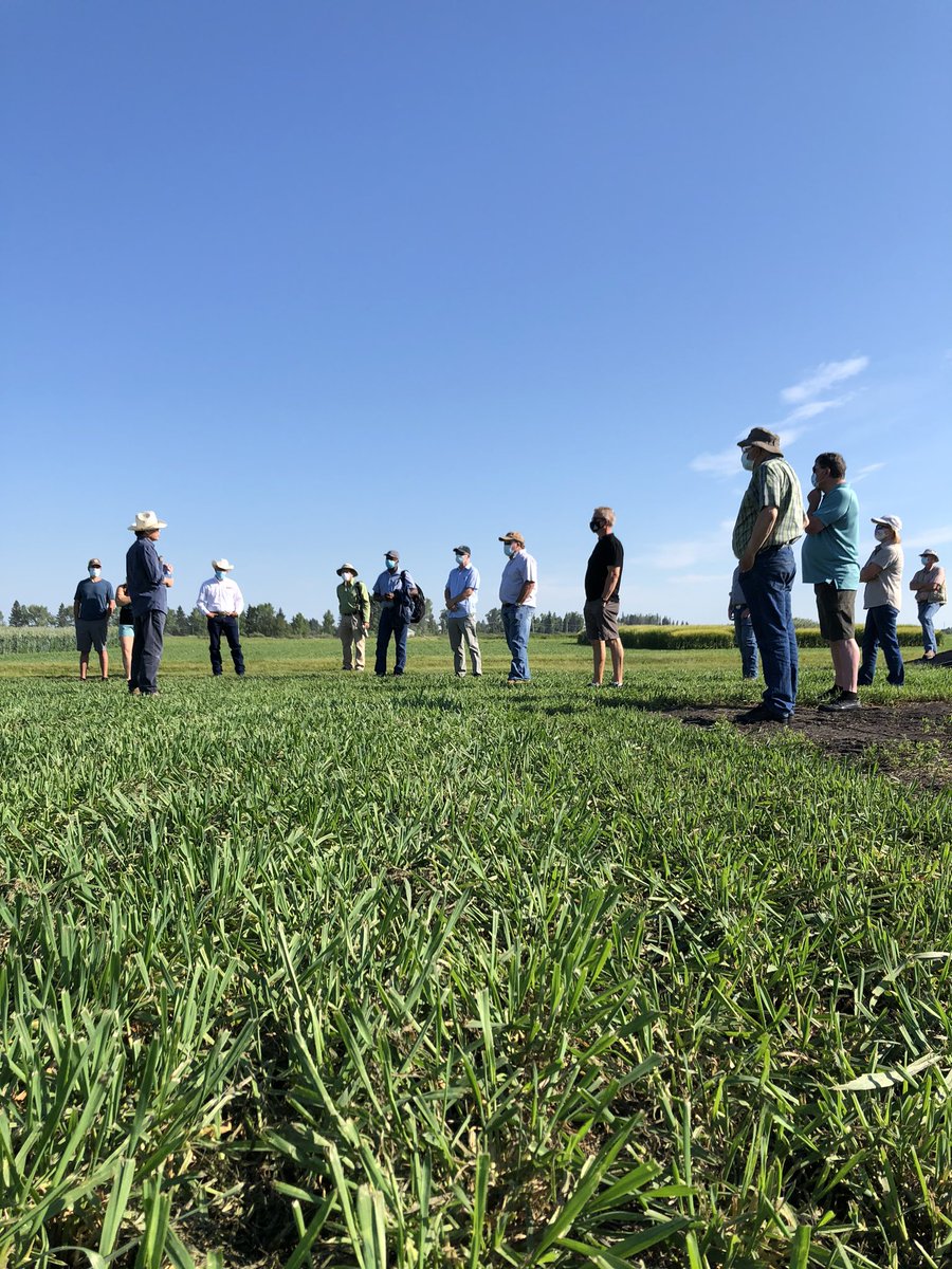 BoychynJeremy's tweet photo. #agbugchat Jeremy checking in from FCDC socially distanced field day! https://t.co/CNCul1ZPHu
