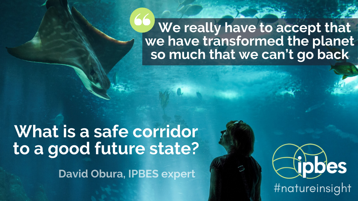 IPBES's tweet photo. "We have to look forward🌤
We really have to focus around #sustainability🐬
how to integrate people with #nature &amp; do as little damage as we possibly can while we’re going about our business”
—@IPBES expert @dobura

🎧Listen to #ipbespod #natureinsight👇
https://t.co/YmO12Ujt0Y https://t.co/IqRx3s8w41