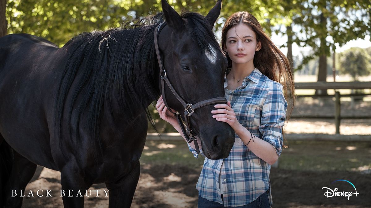 DisneyPlus's tweet photo. Embark on an incredible adventure based on the classic tale. Black Beauty, an Original Movie starring Academy Award-winner Kate Winslet, is coming this fall to #DisneyPlus. #BlackBeautyMovie https://t.co/9rFmoWKNyk