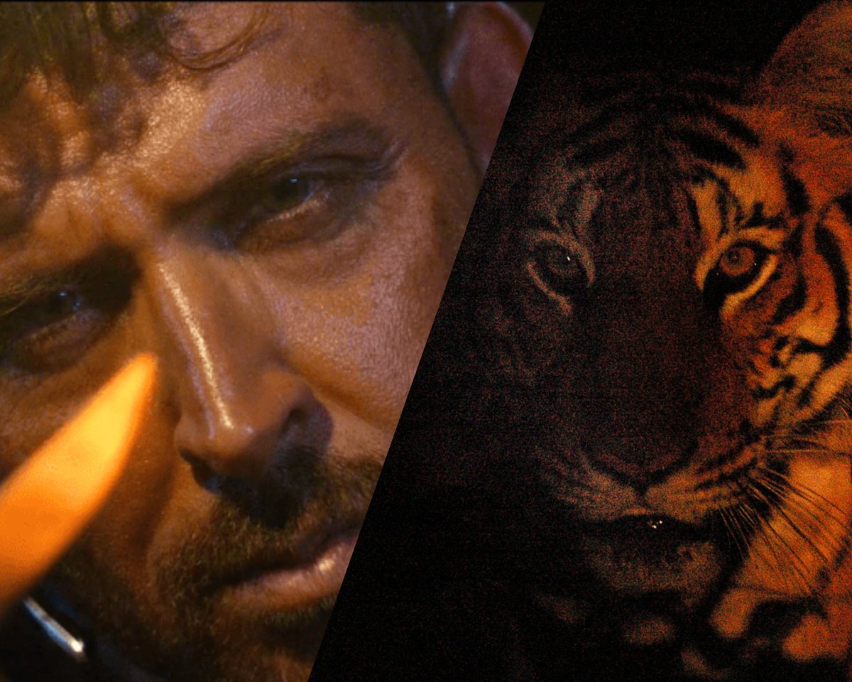 6. Always on the hunt, day or night, it's like playing with fire, ain't it??