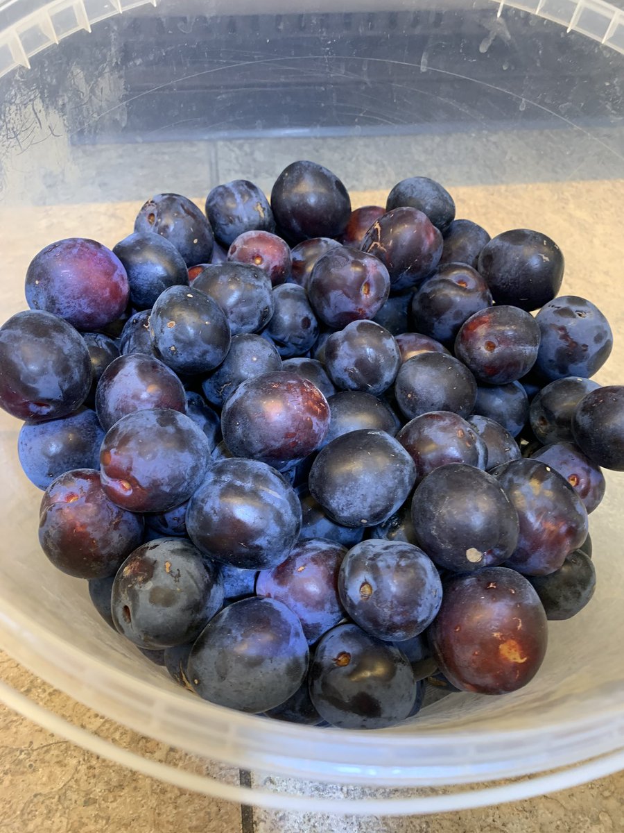 Algy's Farm Shop tweet media