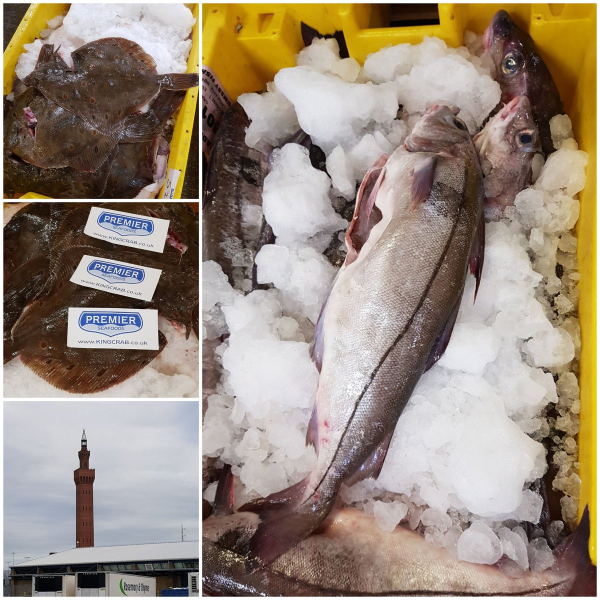 Fab morning on <a href="/GyFishMarket/">GrimsbyFishMarket</a> with the boss, even though there have been changes to the docks over the years, the fish industry is still here and should be championed as there is alot to be proud of 😊💕🐟 <a href="/Premierseafoods/">Premier Seafoods Ltd / kingcrab.co.uk</a> <a href="/YourFishingNews/">Fishing News</a> @fishisthedish <a href="/seafishuk/">Seafish</a>