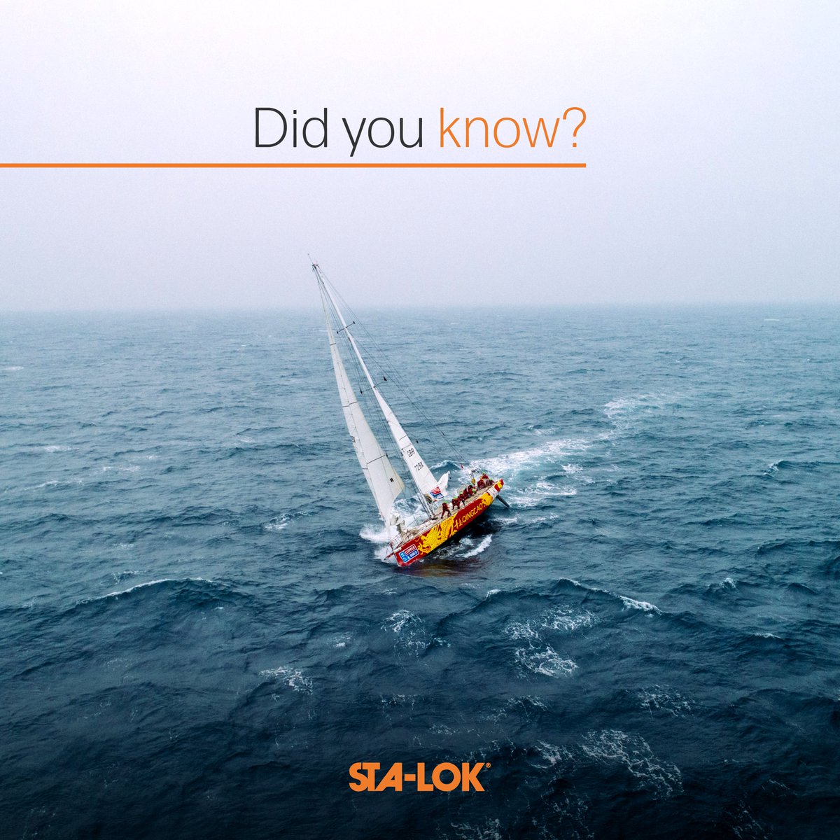 stalokterminals's tweet photo. Did you know that the Clipper Race see’s teams race across six oceans and over 40,000 nautical miles. 

Sta-Lok supplied 450 bespoke fittings and 2150 metres of wire to kit out the fleet of Clipper 70s.

#sailing #oceanracing #clipperrace #marine #wednesdaywisdom #stalok #rigging https://t.co/wDS9FHHc26