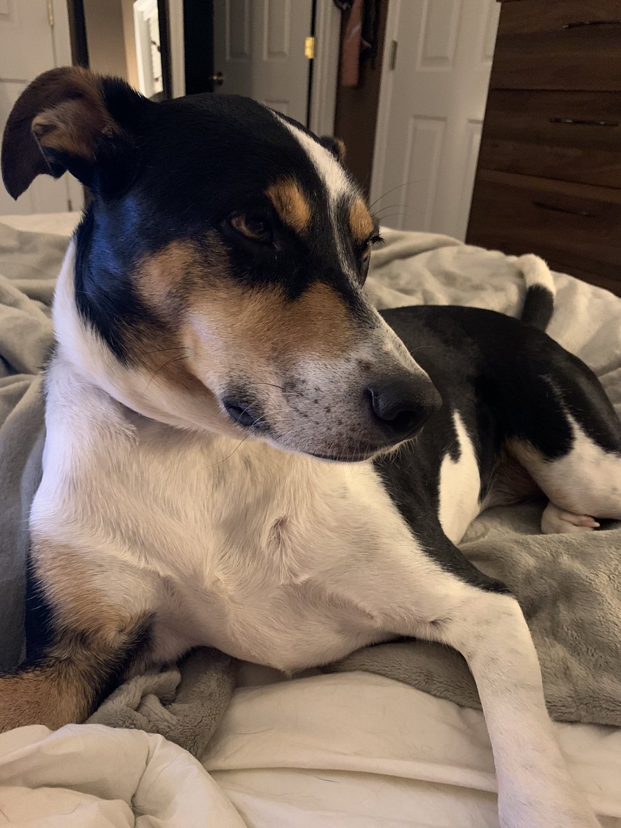 coffeedrn's tweet photo. @darth https://t.co/QSGC8uDsJv