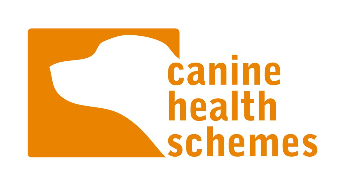 #CanineHealthSchemes update: Our normal turnaround time for submissions in usually 4 weeks, but due to #COVID19 & the closure of our offices, all scoring was paused in March. Weekly scoring sessions resumed on 8 July and we’re now working through the backlog 1/2