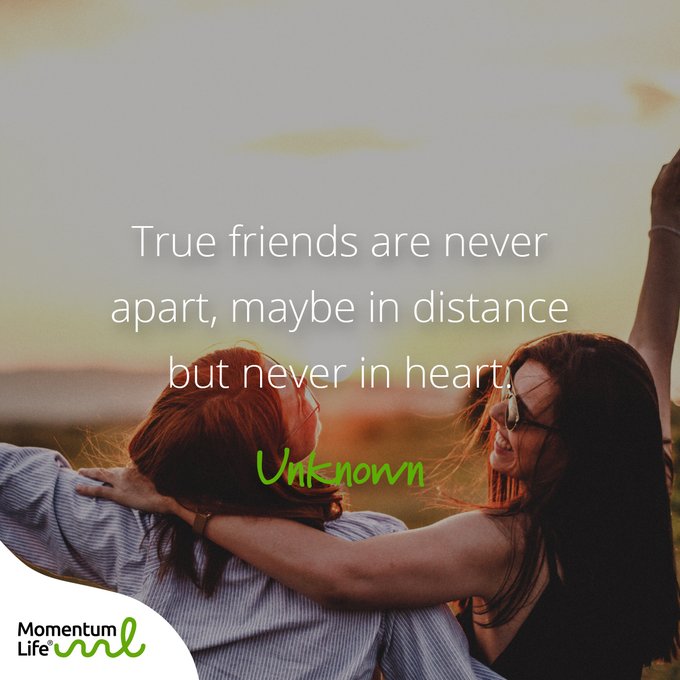 International Friendship Day - 30 July IMAGES, GIF, ANIMATED GIF, WALLPAPER, STICKER FOR WHATSAPP & FACEBOOK