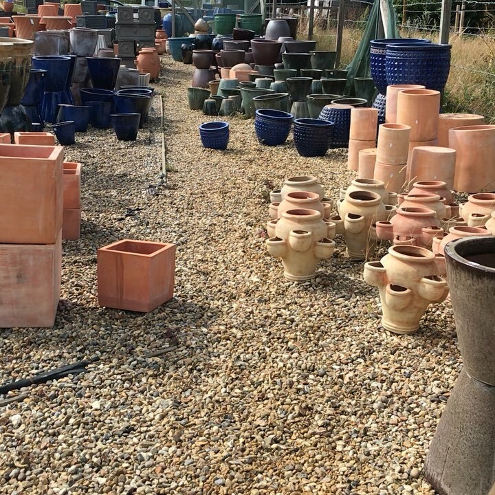 Exoticgardenco's tweet photo. Just a short walk around some of #PlanetPot extensive collection of garden pots. Open Wednesday-Thursday 10am-4pm. Follow us on Facebook. #Aldeburgh, #Thorpeness, #Dunwich, #Southwold, #Halesworth, #Framlingham, #Saxmundham, #Woodbridge,#Ipswich, #Colch… https://t.co/O3jmS65qWd https://t.co/7FqXEJgdba