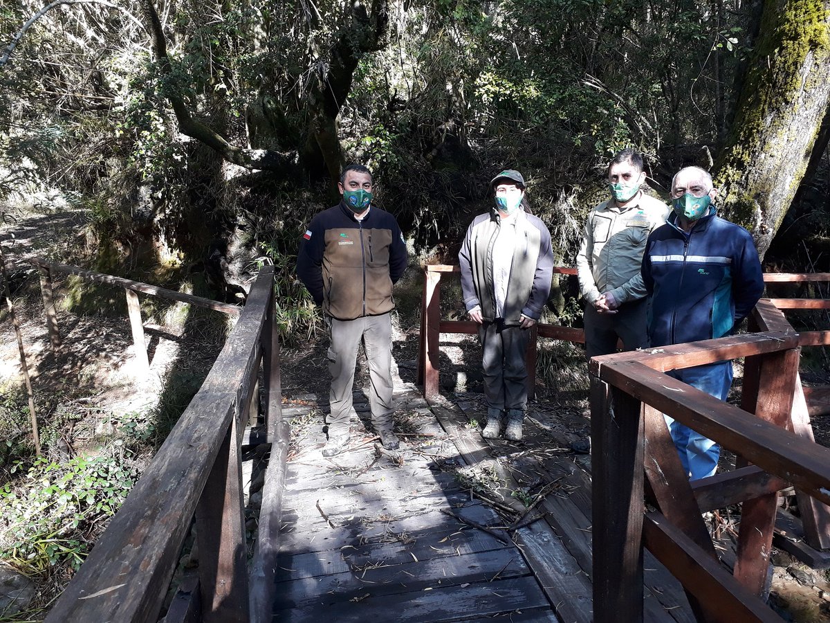 CONAFBiobio's tweet photo. 🔵CONCEPCIÓN | Director Ejecutivo Rodrigo Munita visitó la Reserva Nacional Nonguén y relevó su valor como futuro parque nacional, primer parque nacional periurbano del país.

Lo acompañaron nuestro director regional Francisco Pozo y jefe provincial Concepción, Guillermo Reyes. https://t.co/0iqc5J11qj
