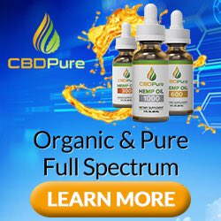 hempcbdoil2's tweet image. Quality CBD oil, capsules, cream, candies, etc. Visit effective-cbdoil.com. 
All made in the USA &amp;amp; fast shipping guaranteed! Buy now. 💚👍🏻
#cbduser #cbdusers #anxietyrelief #chronicpainrelief #insomnia #insomniarelief #skincare #wellness #antiinflammatory #antistress