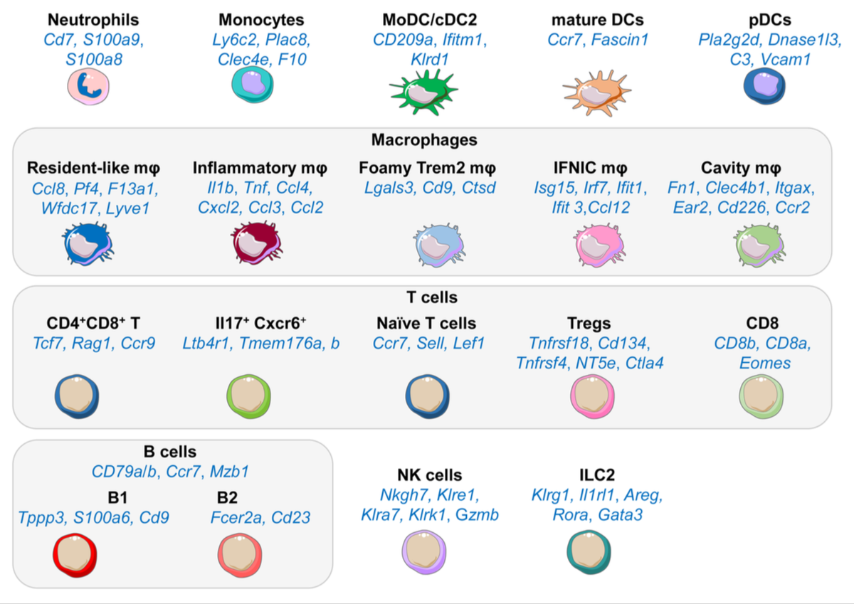 Matthias Nahrendorf tweet media