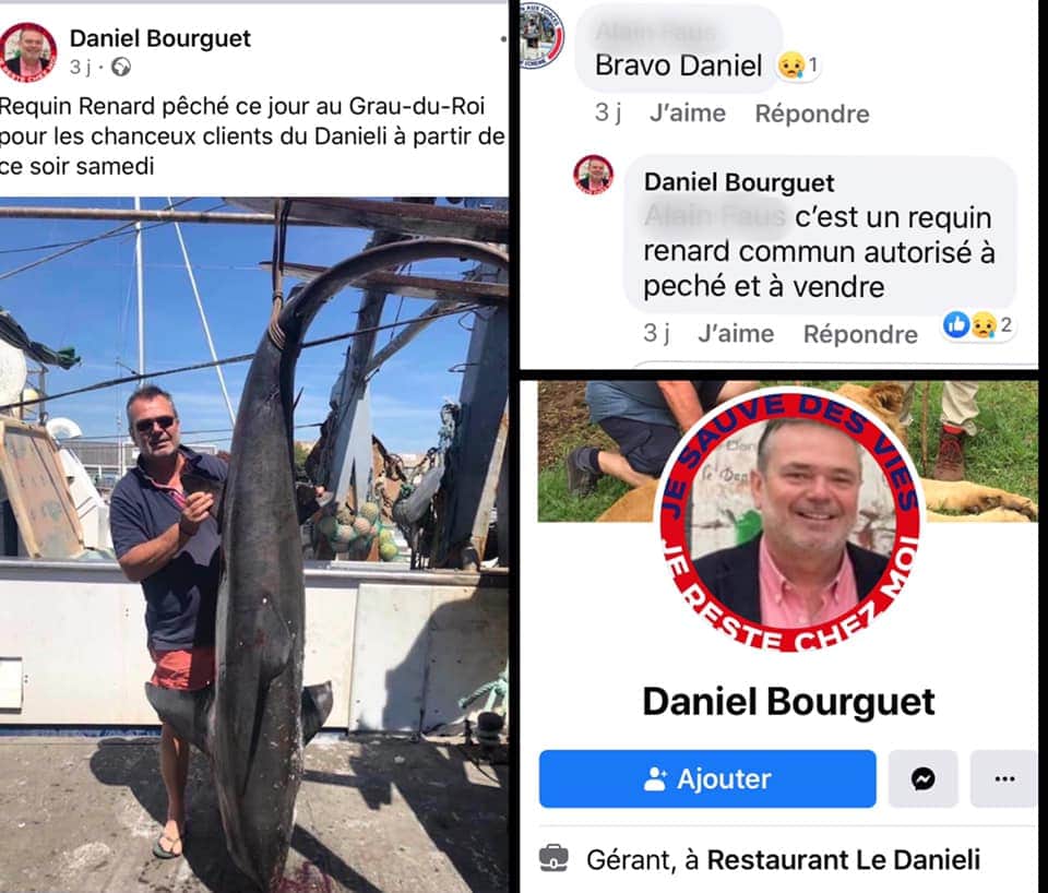 SeaShepherdFran's tweet photo. Je sauve des requins, je boycotte le Danieli.

Daniel Bourguet, gérant au Restaurant Le Danieli à Nîmes posait fièrement avec son trophée le week-end dernier au Grau-du-Roi. 

A lire ici : https://t.co/Jmq3mZ8YF5 https://t.co/IiSf5Xo6E7