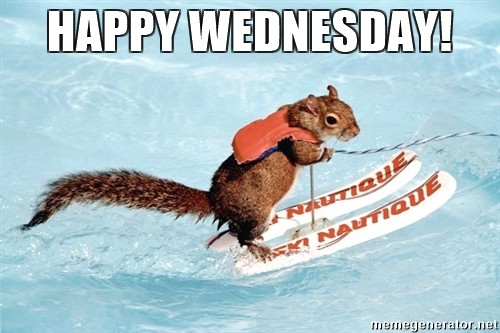 "Happy Wednesday" ow.ly/6eFH30qWT3a