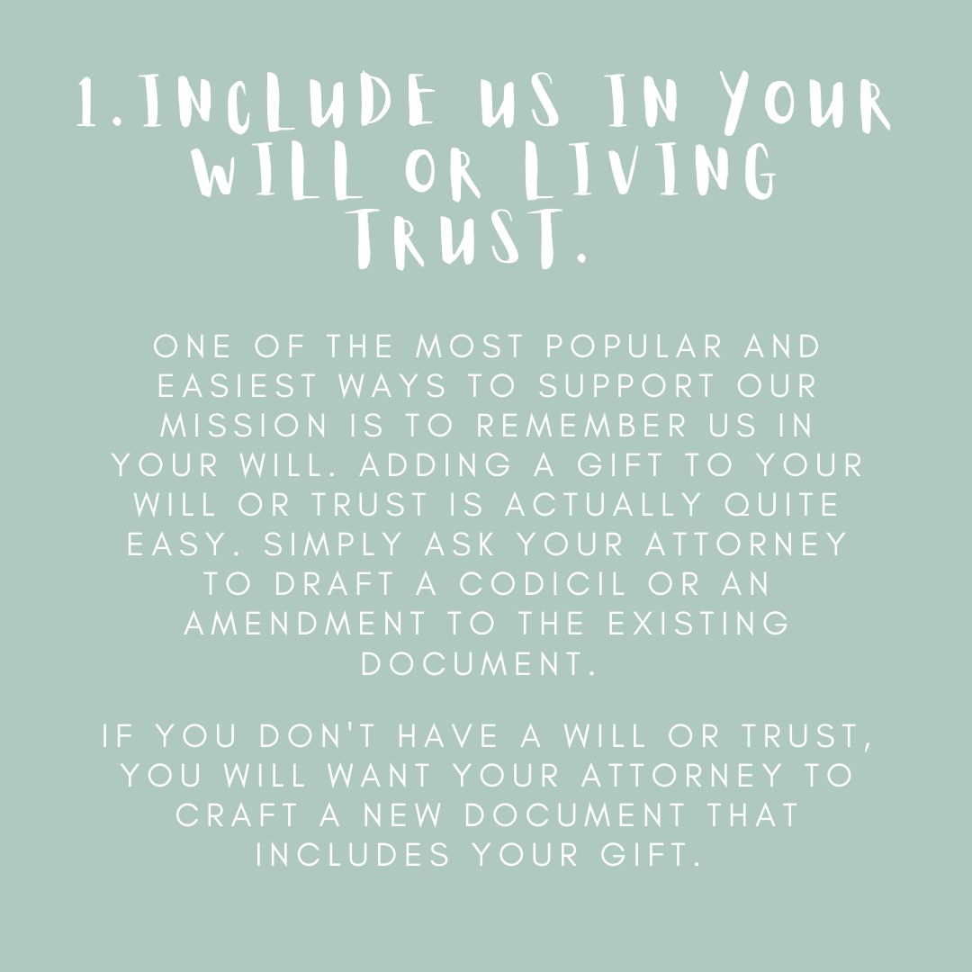 PlannedGiftsWSU's tweet photo. 4 Stress-Free Donation Options for You and Your Family to Give Back! #plannedgiving #alwayswaynestate #waynestate https://t.co/6gFrIg3lKL