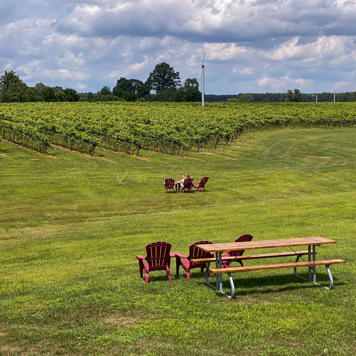 Rudderless Travel | Christopher Rudder tweet media