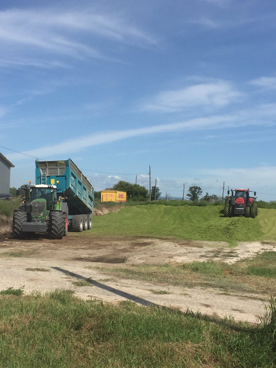 It’s hard to believe it’s that time of year already #silage #feedthecows