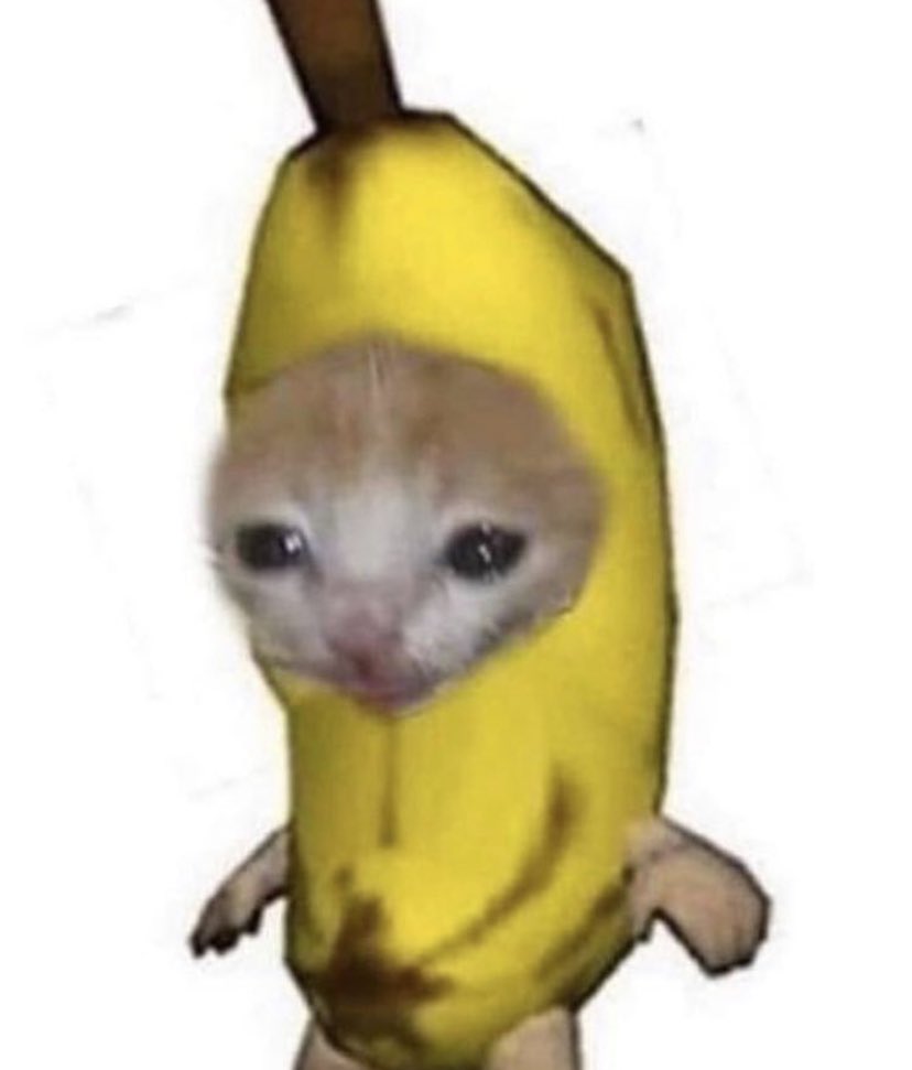  ⓒÃ𝐭 в𝐀ภ𝔸ภ   -𝐚 тｈⓡ𝕖άᵈ- 