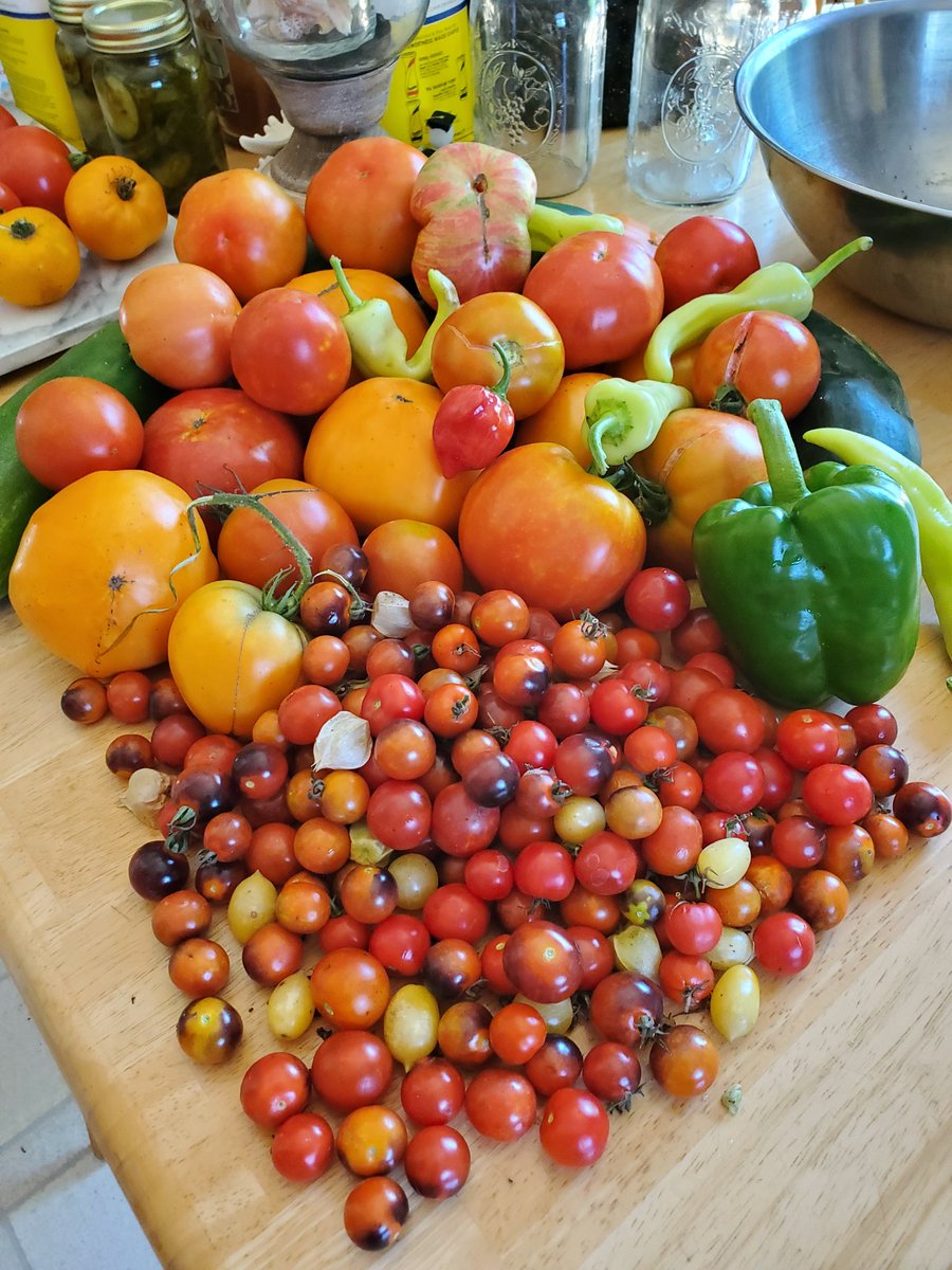 trapper831's tweet photo. A great day #harvesting my #garden. Wasn't expecting that but as a retired #upser I should have
#expectedtheunexpected https://t.co/pffighjatS