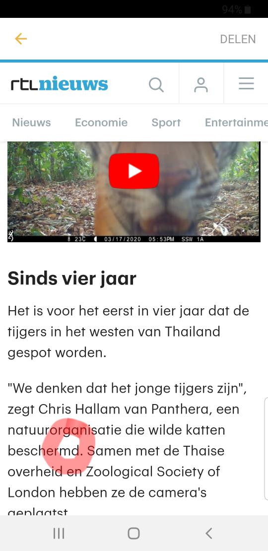 Ester van Gils tweet media