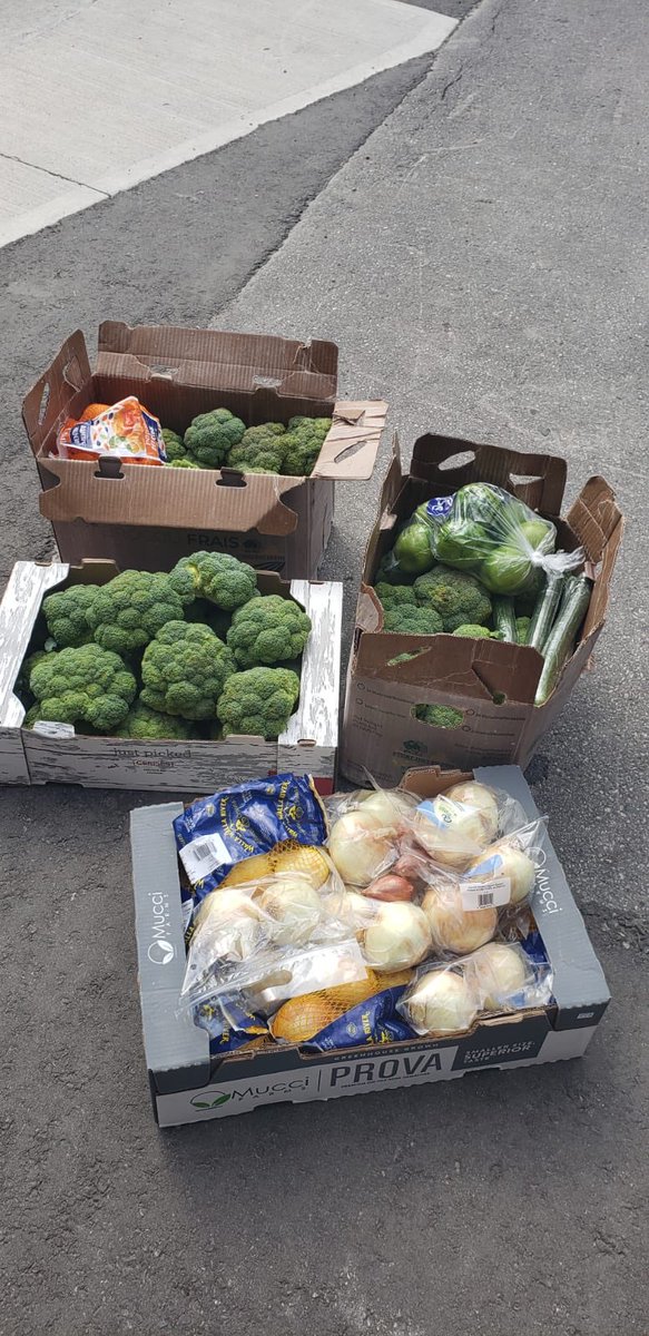 TNOtoronto's tweet photo. #tnofoodcollaborative Huge thank you to @CelebrationTOR TICC for their donations and support! #SpreadLove #communitylove @UWGreaterTO @thirdpillar_ @TorontoHifz @aplaceforfood #helpinghands https://t.co/907kHMSUS1