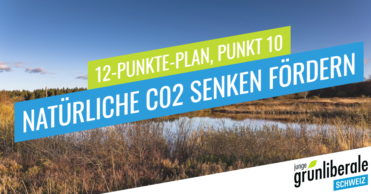 jglpschweiz's tweet photo. Um die natürliche CO2-Senkenwirkung von Mooren zu reaktivieren, fordern wir ein nationales Förderprogramm insbesondere für die Renaturierung von ehemaligen Moorgebieten. #NettoNull2030 #12PunktePlan https://t.co/Fs8IbEMuoB