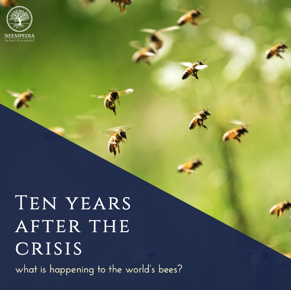 Neempedia's tweet photo. Biologists have found more than 150 different chemical residues in bee pollen, a deadly “pesticide cocktail”. Neem can be used as a non-toxic product throughout their planting cycle, preserving the environment, our crops. Learn more at https://t.co/elwzRqqtmc! https://t.co/m9pA1VdW0x