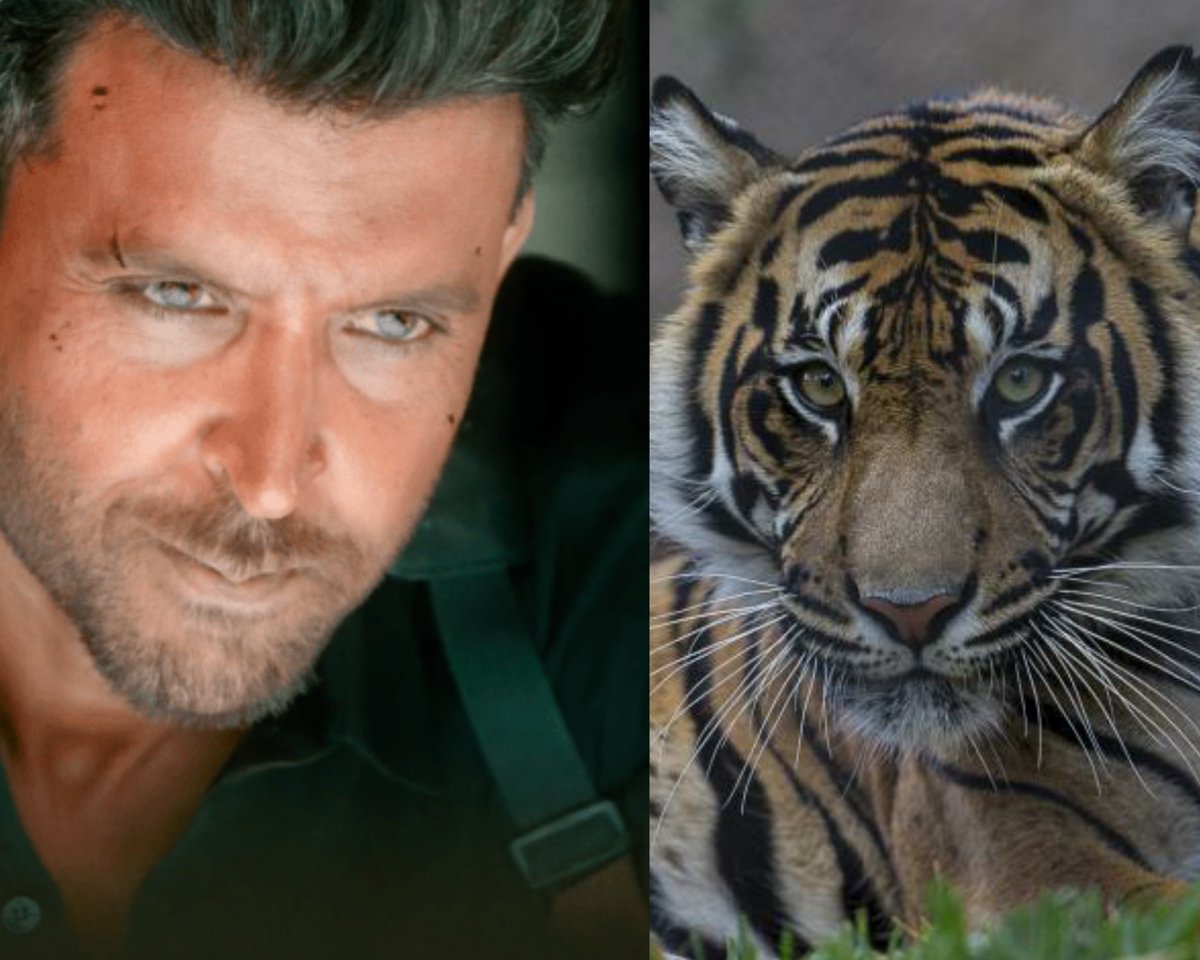 12. Always planning and plotting, to take aim of their prey!