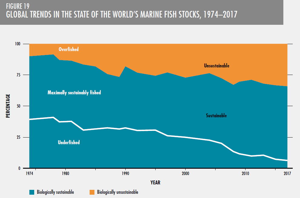 TrevorABranch's tweet image. Globally, 34% of assessed fish stocks are overfished

Source: @FAOfish in 2020
fao.org/documents/card…