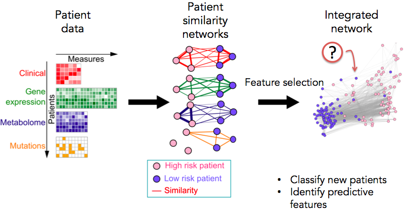 Excited to present our software at #bioc2020
*Thursday 3-4pm*. Work with <a href="/garybader1/">Gary Bader</a>
netDx: Build a patient classifier that integrates multi 'omic data, uses machine learning to predict clinical outcome.
Now in <a href="/Bioconductor/">Bioconductor</a>: bioconductor.org/packages/netDx
Software paper coming soon! /1