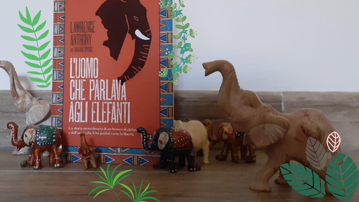 ClassiCultit's tweet photo. “La natura selvaggia è viva, e sussurra a tutti affinché possiamo ascoltarla e risponderle”
#libri #Africa
Leggi su ClassiCult (Valentina Tatti Tonni): https://t.co/vfEDaR8aYK https://t.co/sWZx9pInfJ
