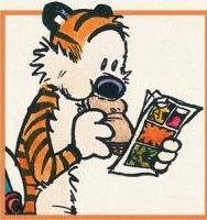 Calvinn_Hobbes's tweet photo. Happy #InternationalTigerDay everyone! 🐅 https://t.co/5XCgE1Rdtf