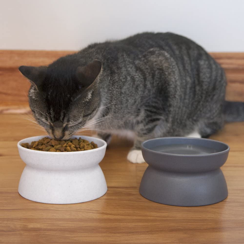 CardUSA123's tweet photo. Kitty City Raised Cat Food Bowl Collection, Stress Free Pet Feeder and Waterer.
Click on the Below link for more details. 

Click Here:https://t.co/b7BfFjMozD
#cats 
#CatsOfTwitter 
#Caturday 
#CAT2020 
#cats4Biden 
#catradiotvep13 
#amazonproducts 
#amazonprime https://t.co/pOJrTpN3bi