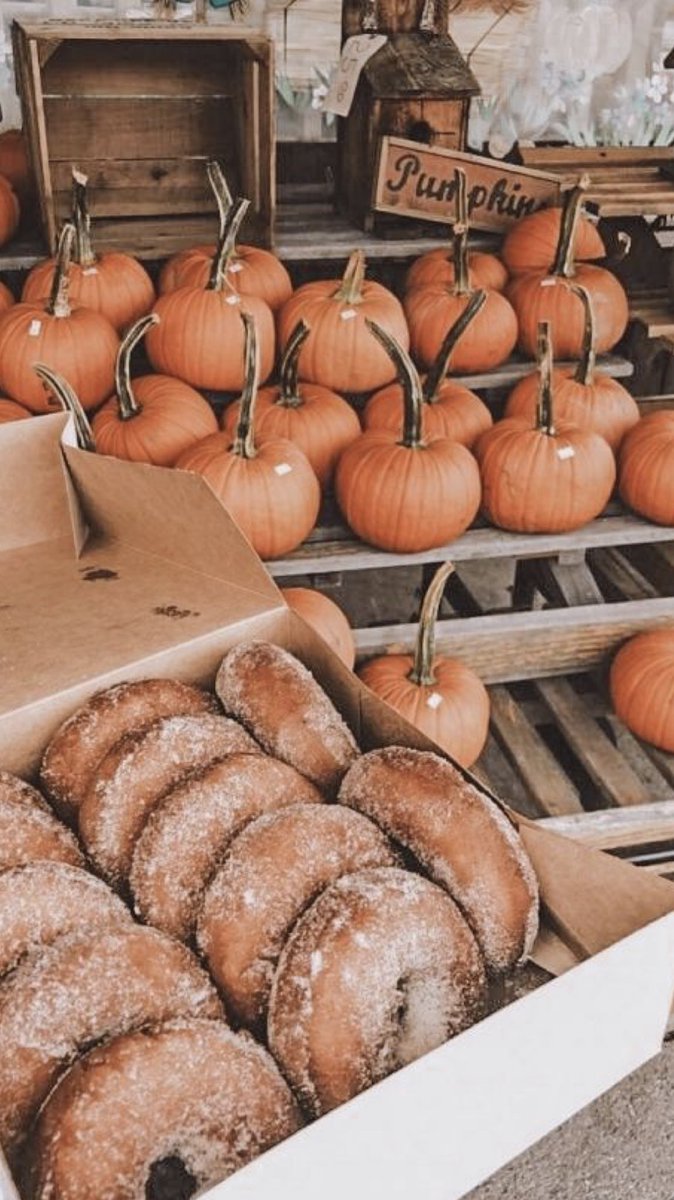 silkvanille's tweet photo. Missing Autumn alittle extra today https://t.co/sdjcNPleen