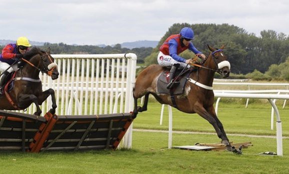 CharlMcCracken's tweet photo. Delighted to get another win for Bannixtown Glory this afternoon and to be looked after so well as always by @BangorRaces. Big thank you to @donaldmccain and the team at Bankhouse for doing such a fantastic job 🥂🍾🎉 https://t.co/5dfPtKYY6a