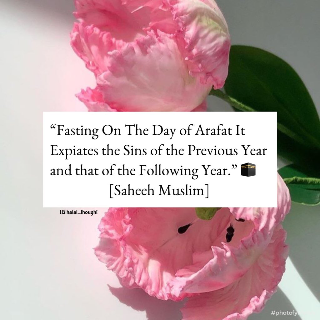 Halal_Thought's tweet photo. ✨Why is the Day of Arafah Given This Name?✨ 

🎓 Al-Imām ibn al-Jawzi [may Allāh have mercy on him] said:

🌸 One of the two reasons is:

– It was given this name because [Angel] Jibreel [عَلَيْهِ السَّلاَم] showed [Prophet] Ibrāheem [عَلَيْهِ السَّلاَم] the rites [of Hajj] https://t.co/1KRu6EIeTd