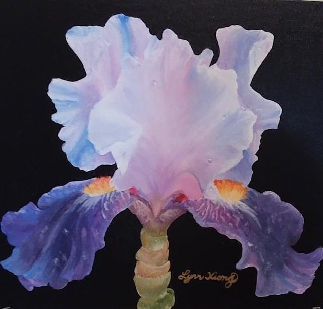 Lynn Xiong, a 2020 CHS graduate and Feature Artist of our Summer Art Show! To see her collection in full, please visit our virtual gallery on our website at carmelartscouncil.org
#carmelindiana #carmelartsanddesigndistrict #carmelartsdistrict 
#carmelartonmain #hamiltonindiana