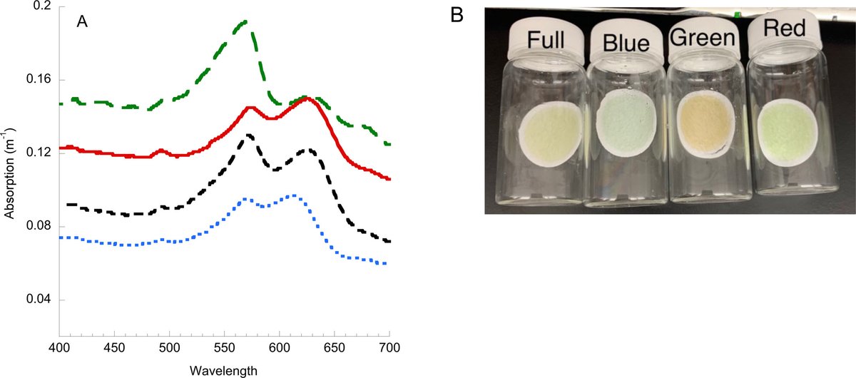 protistologists's tweet photo. Photopigment, Absorption, and Growth Responses of Marine #Cryptophytes to Varying Spectral Irradiance https://t.co/6qX8uHimJR #protists #algae https://t.co/T06Fky9QTS