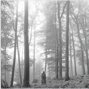 Gina Ortiz Jones (TX-23) as folklore