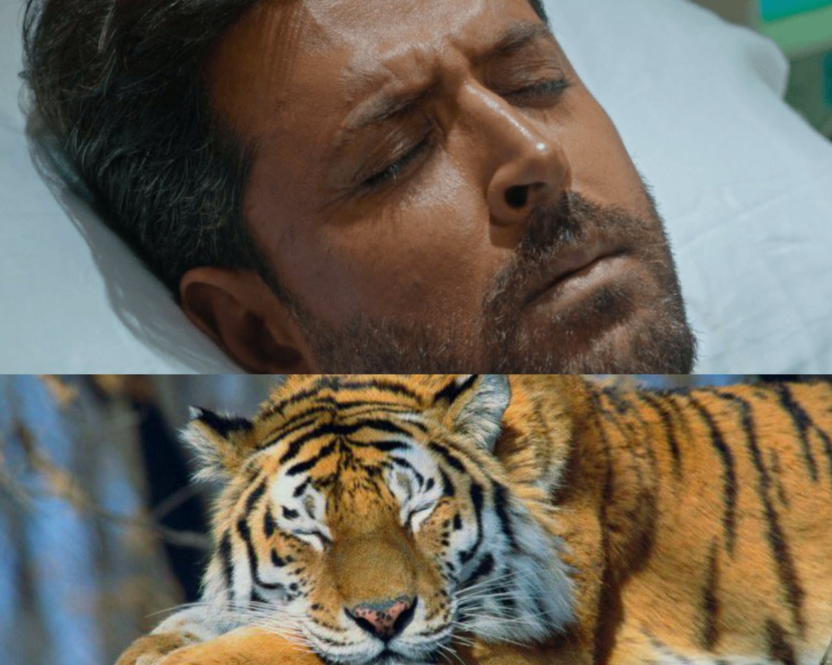 Good night, sleep well!  #InternationalTigerDay  #HrithikRoshanRate my thread before you sleep 