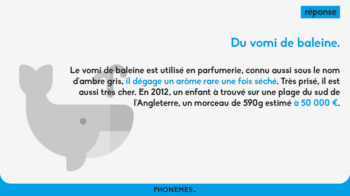 phonemes_'s tweet photo. https://t.co/TqB9n8rJPy
