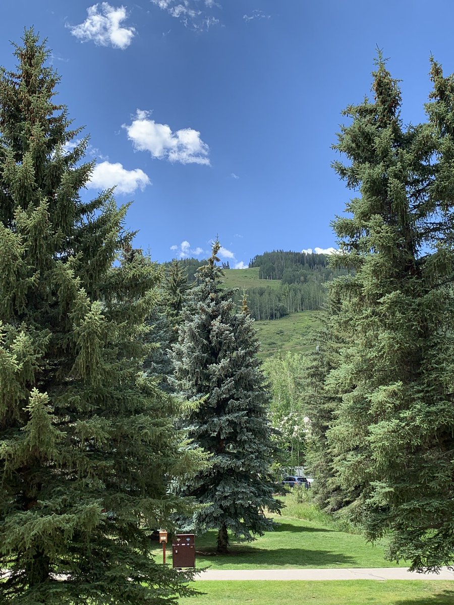 PatriciaChanco's tweet image. The view from our room @vailmtn . 😍💖💕 Do we have to leave, @achidente?! 🥺🥺🥺 #ColoradoSummer #TeachersEnjoyingSummer