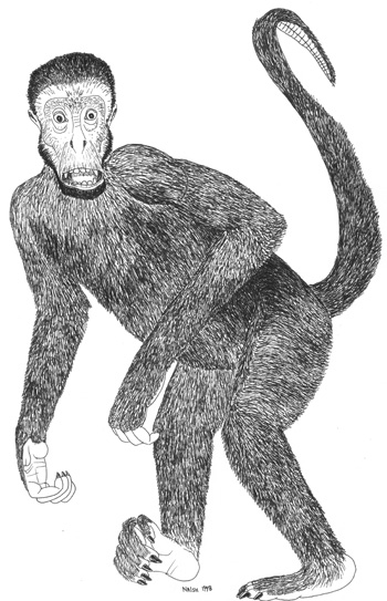 As suggested by this reconstruction (by me, depicting Protopithecus in bipedal pose), these large primates might have looked quite daunting.