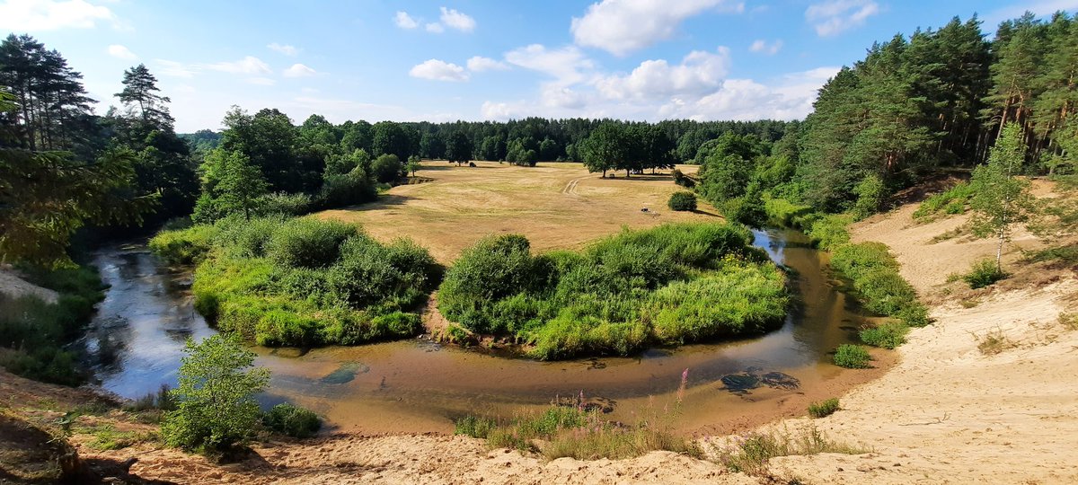 BelarusTt's tweet photo. #Belarus #rivers #Isloch #Summer2020 #July #estern #Europe https://t.co/G5L8yoawWt