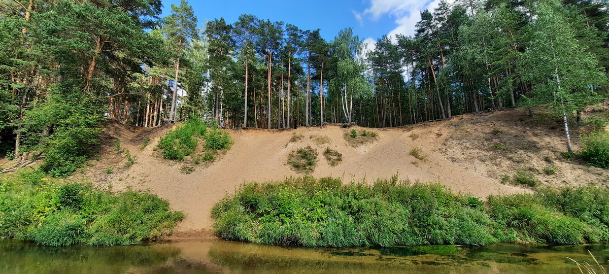 BelarusTt's tweet photo. #Belarus #rivers #Isloch #Summer2020 #July #estern #Europe https://t.co/G5L8yoawWt