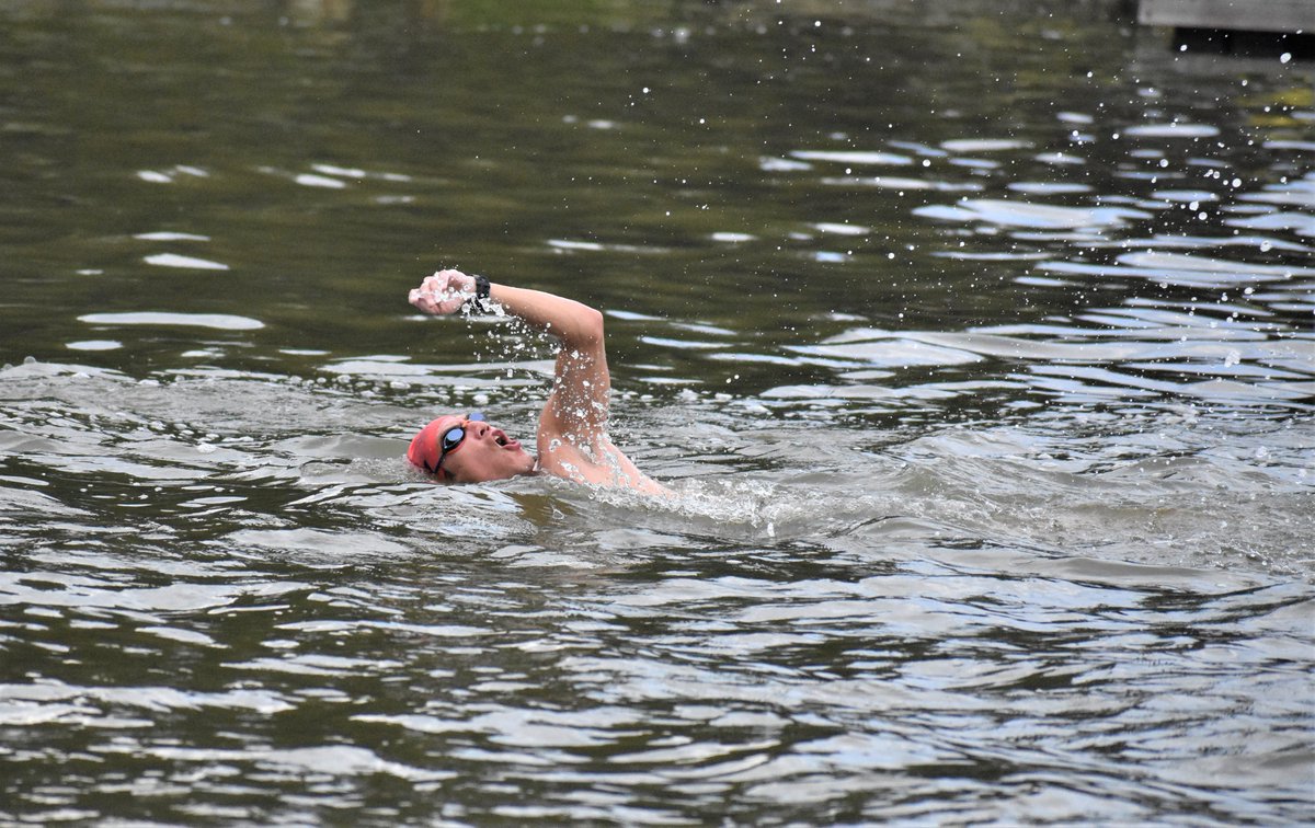 katfominykh's tweet photo. Some of the swimmers thought they could reason with the jellyfish, maybe even form a union.

They all emerged from the South River with stings -- &amp; loved it regardless.

How a DC swim club found its home in Annapolis, thanks to a local world record holder: https://t.co/MDgmnZKXPl https://t.co/ySGUoWe3mi
